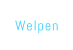 Welpen