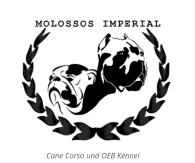 Cane Corso und OEB Kennel