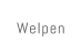 Welpen